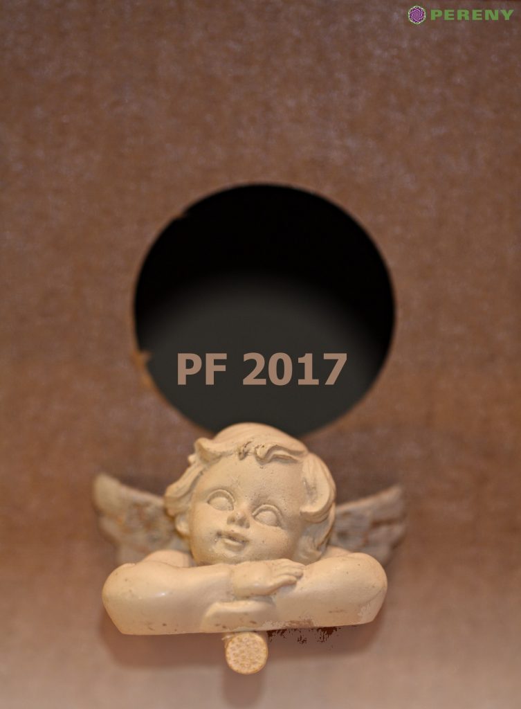 pf2-2017
